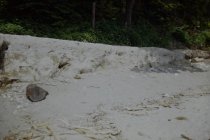Erosion at base of old beach road